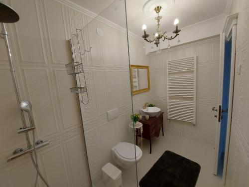 a bathroom with a shower and a toilet and a sink at Conacul Poetilor in Gura Rîului