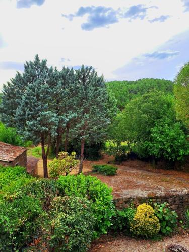 a garden with a stone wall and trees and bushes at La Magnanerie du Berguier in Laurac-en-Vivarais