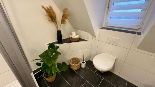 a bathroom with a toilet and plants in it at MiCasa TuСasa - 2-R-Apartment Leipziger Neuseenland Hydra in Borna