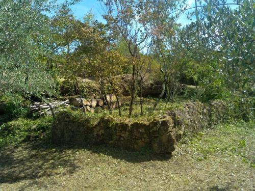 a stone wall with a small tree in it at La Magnanerie du Berguier in Laurac-en-Vivarais