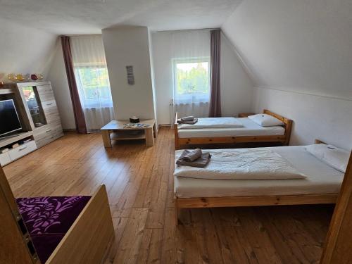 Cette grande chambre comprend deux lits et une télévision. dans l'établissement Ferienwohnung PETER, à Rudolstadt