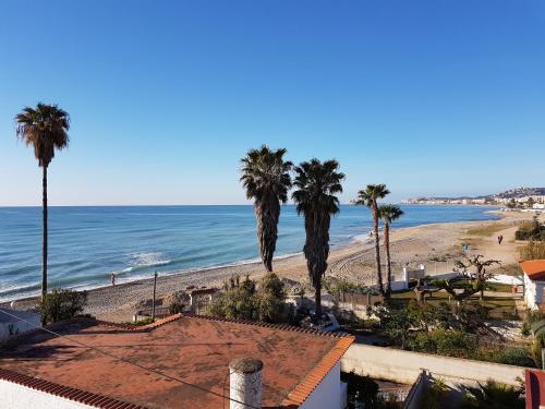 La Terrasse du Leo, Benicarló