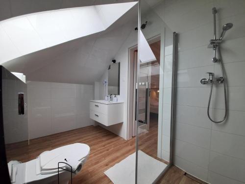 a bathroom with a shower and a sink at Apartamenty przy szlaku in Krajno Pierwsze