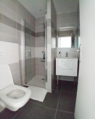 une salle de bain avec toilettes, douche et lavabo dans l'établissement T2 NEUF DANS MAISON RENOVEE, à Mésigny