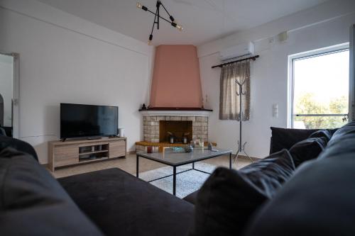 a living room with a couch and a tv and a fireplace at Τα ανετα διαμμερισματα του Λεκα Α2 in Zakharo
