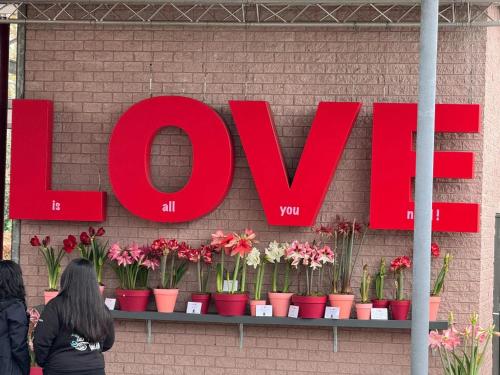 a sign that says love on a wall with flowers at Charming Apartment in Lisse - 30 sqm with Terrace in Lisse