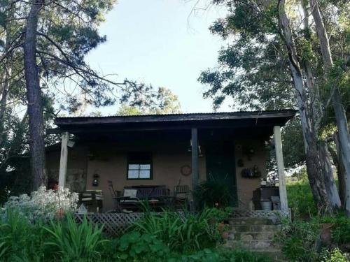 una pequeña casa con un porche en el bosque en Rancho Callado - Cucapa Cabin, en Tijuana