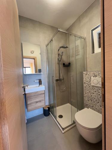 een badkamer met een douche, een toilet en een wastafel bij Apartmani Vranković in Sveta Nedelja