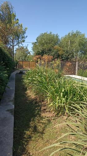 a row of plants on the side of a sidewalk at Quinta Los Sauces Suipacha in Suipacha