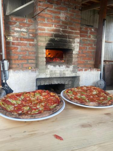 - deux pizzas assises sur une table devant un four en briques dans l'établissement Meti Guest House, à Krujë