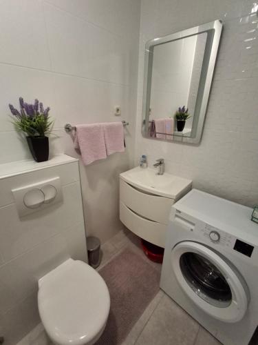 La salle de bains est pourvue d'un lavabo et d'un lave-linge. dans l'établissement Apartment Irena Bol, à Bol