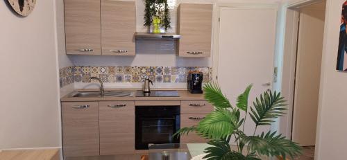a kitchen with wooden cabinets and a sink and a plant at Villetta Lorena a Mancaversa in Marina di Mancaversa