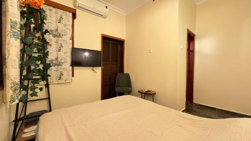 アンタルヤにあるCallisto Pub & Kitchen & Hotelのベッドとテレビのある寝室