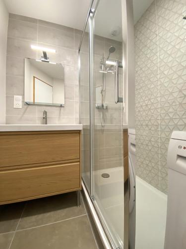 une salle de bain avec douche et lavabo dans l'établissement Le Pied de Ville Mont Guillaume, à Embrun