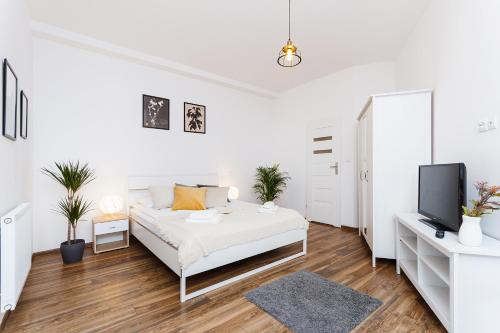 Studio for two - Starowiślna 54