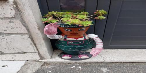 a plant in a pot sitting in front of a door at Il giglio bianco in Ischia di Castro