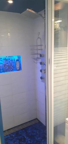 a bathroom with a shower with a glass door at Studio Wifi SdB à l'italienne in Chauffailles