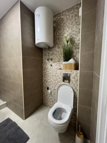 a bathroom with a toilet with a plant on the wall at Stan na dan,Beograd -Žarkovo in Bele Vode