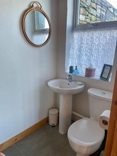 a bathroom with a toilet and a sink and a mirror at Clarefornia Stone Shed in Lahinch