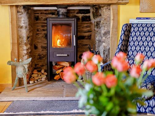 a wood stove in a room with a fireplace at InEdra Estate Farmhouse by edradour1725 in Pitlochry