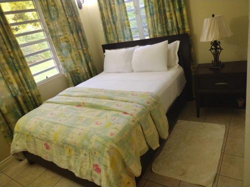 een slaapkamer met een bed en een raam bij 4BR 3BA, Luxury Villa with Separate Pool House Access in Olveston