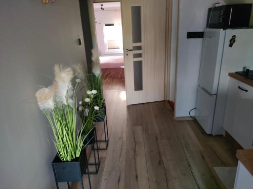 Dapur atau dapur kecil di Apartament na poddaszu Pola