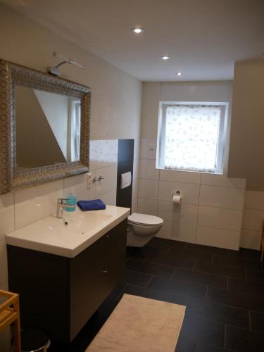 カッペル・グラーフェンハウゼンにあるOdas Feriendomizilのバスルーム(洗面台、トイレ、鏡付)