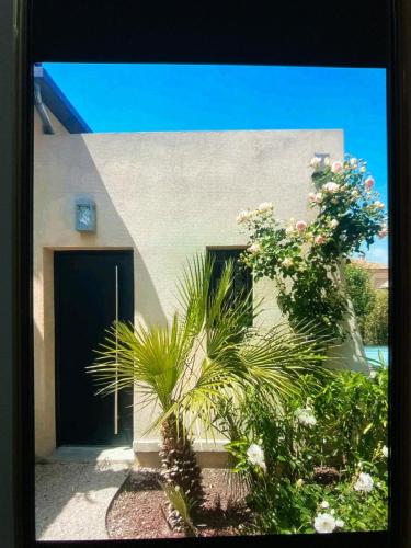 Studio Terrasse Privée Jardin Air conditionné