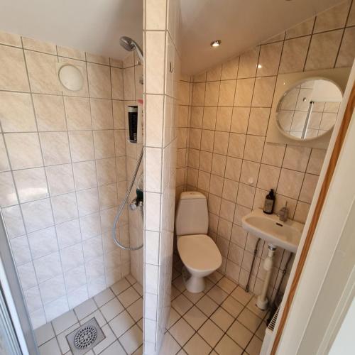 a bathroom with a shower with a toilet and a sink at Strandnära boende, Strandbaden in Falkenberg