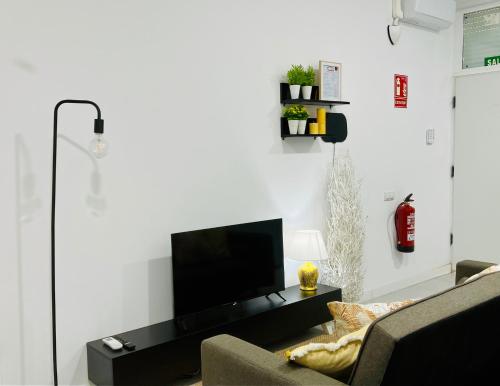 - un salon avec une télévision et un canapé dans l'établissement Casa Bandi, à Madrid