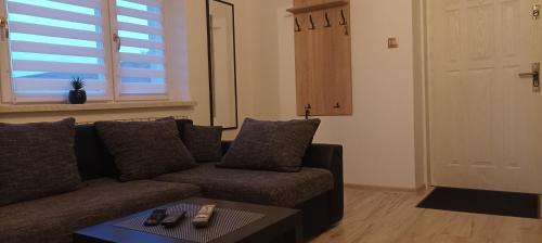 Ruang duduk di Apartament Bieszczady