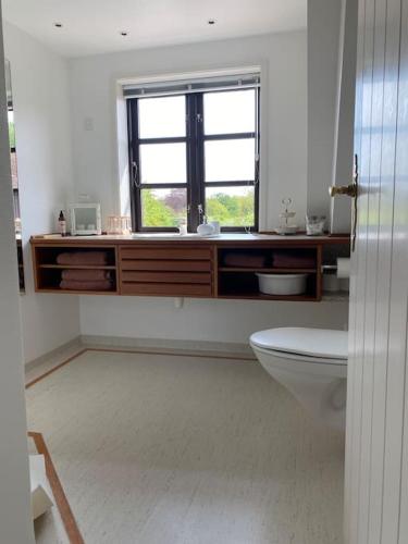 a bathroom with a toilet and a window at Smukke omgivelser i Troense in Svendborg