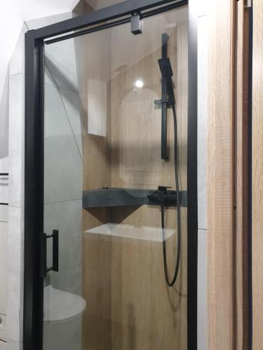 ducha con puerta de cristal junto a un aseo en Near the airport- Apartments, en Cracovia