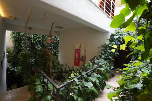 a room with a bunch of plants and a phone booth at OzenTurku Hotel in Pamukkale