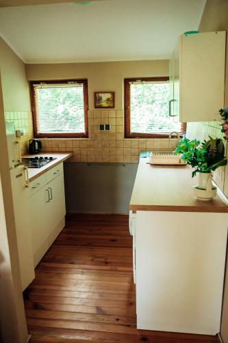 a kitchen with white cabinets and wooden floors and two windows at Domki nad jeziorem in Przechlewo
