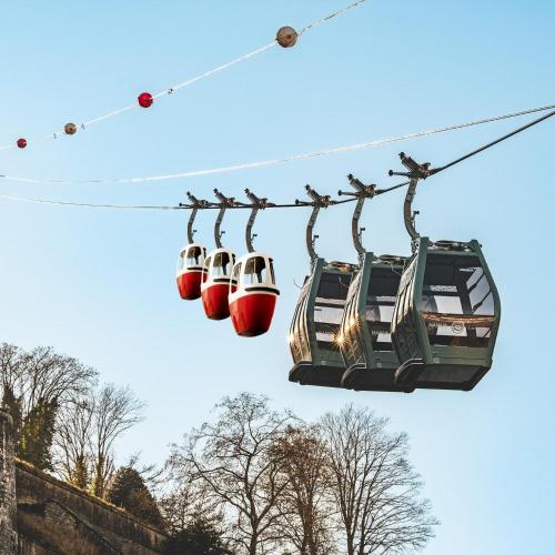a ski lift with three chairs and birds on it at Studio renové rdc terrasse wépion (Namur) in Namur