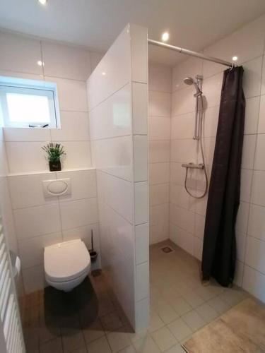 a white bathroom with a toilet and a shower at Morning Glory, Huisje vogelzang in Beekbergen