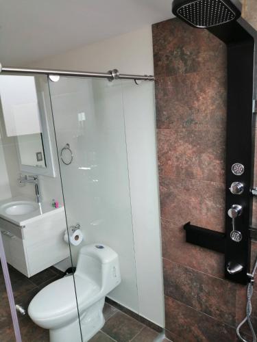 a bathroom with a toilet and a shower at Hotel Basan Plaza in Pasto