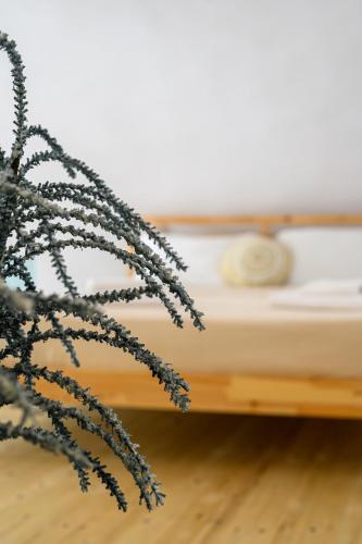 a close up of a plant next to a bed at AngelEve Villa with private Jacuzzi in Fira