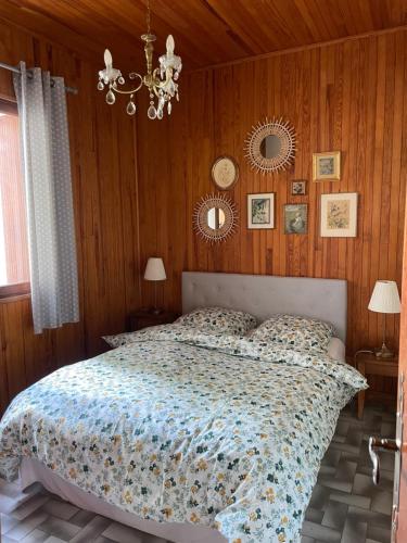 a bedroom with a bed and wooden walls and a chandelier at Pont de Frappe in Chabottes