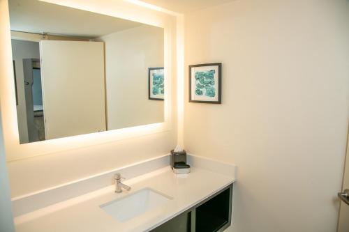 baño con lavabo y espejo grande en Holiday Inn New Orleans West Bank Tower, an IHG Hotel, en Gretna