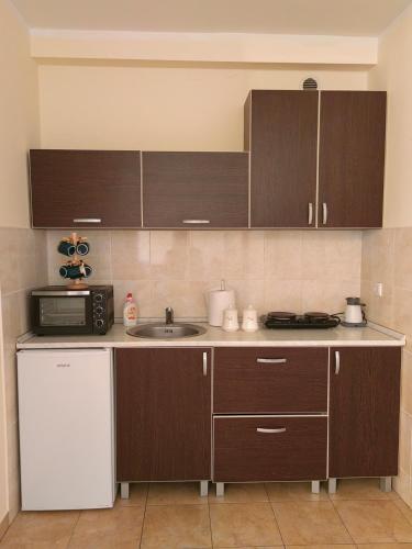 una cucina con armadi in legno, lavandino e forno a microonde di Apartman Secujski a Sombor