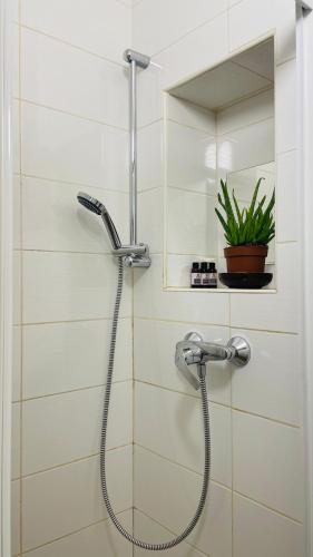 La salle de bains est pourvue d'une douche et d'une plante. dans l'établissement Studio 2 pers - Cœur de Paris, à Paris