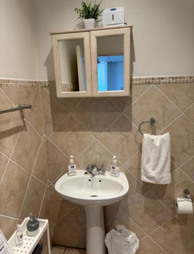 a bathroom with a sink and a medicine cabinet at The Muscadel in Paarl