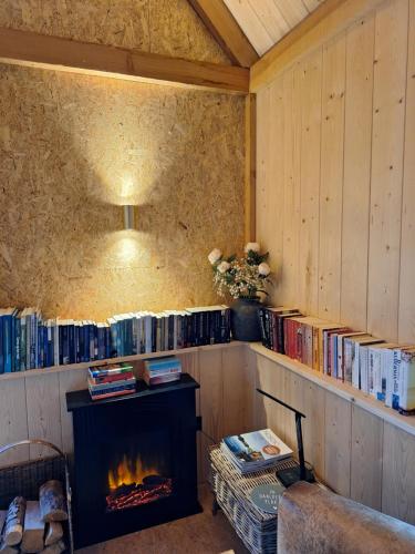 een woonkamer met een open haard en boekenplanken bij Wad & Loft unieke paalwoning vlakbij de Waddenzee in Pietersbierum