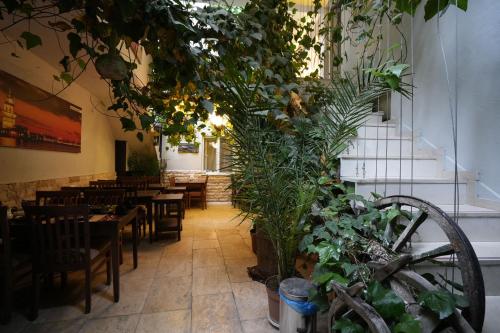 a restaurant with tables and chairs and plants at OzenTurku Hotel in Pamukkale