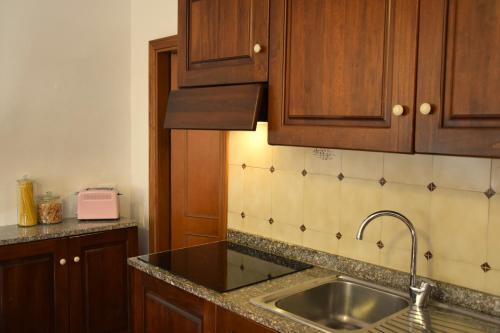 a kitchen with wooden cabinets and a sink at Agriturismo Le Case di San Vivaldo in Montaione