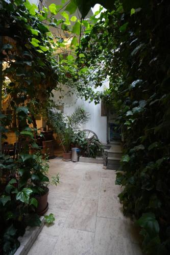 a hallway filled with lots of plants in a building at OzenTurku Hotel in Pamukkale