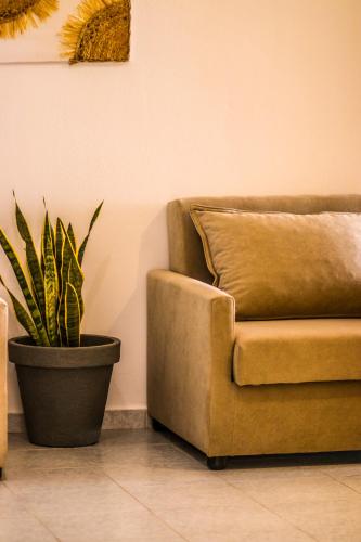 Imagen de la galería de Faidra, en Himare