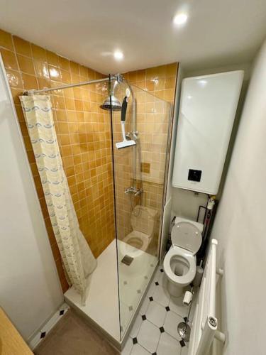 une petite salle de bain avec douche et toilettes dans l'établissement Studio au cœur de la Ville fortifiée, à Boulogne-sur-Mer